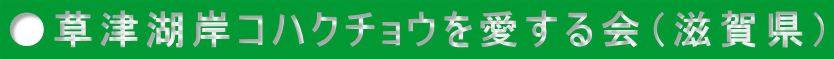 ●草津湖岸コハクチョウを愛する会（滋賀県）